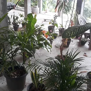  Holiday home Fortress Sri Lanka